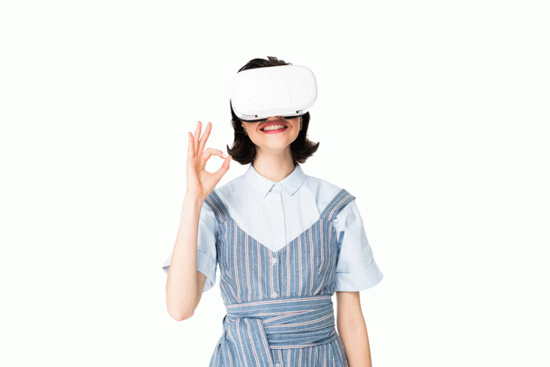 16 نکته کلیدی در تغذیه سگ شیواوا: چه غذایی برای فرشته کوچک شما مناسب است؟