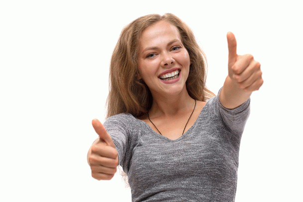 بوستون تریر: ۱۷ نکته کوتاه درباره سگ آپارتمانی